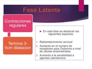 Contracciones
regulares
Termina 3-
5cm dilatacion
 En esta fase se destacan los
siguientes aspectos:
1. Reblandecimiento cervical
2. Aumento en el numero de
receptores para Oxitocina a nivel
de células endometriales
3. Aumento a la sensibilidad a
agentes uterotonicos
 