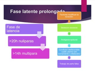 Fase latente prolongada
Fase de
latencia
>20h nuliparas
>14h multipara
Factores modifican la
duración:
Sedacion excesiva
Anelgesia epidural
Condicion desfavorable
cuello uterino (sin
borramiento o dilatación)
Trabajo de parto falso
 