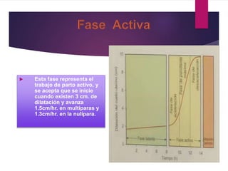  Esta fase representa el
trabajo de parto activo, y
se acepta que se inicie
cuando existen 3 cm. de
dilatación y avanza
1.5cm/hr. en multíparas y
1.3cm/hr. en la nulípara.
 