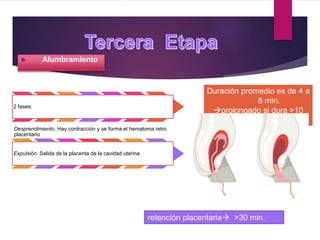  Alumbramiento
retención placentaria >30 min.
2 fases:
Desprendimiento. Hay contracción y se forma el hematoma retro
placentario
Expulsión. Salida de la placenta de la cavidad uterina
Duración promedio es de 4 a
8 min.
prolongado si dura >10
min.
 