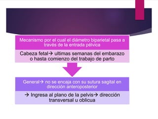 General no se encaja con su sutura sagital en
dirección anteroposterior
 Ingresa al plano de la pelvis dirección
transversal u oblicua
Mecanismo por el cual el diámetro biparietal pasa a
través de la entrada pélvica
Cabeza fetal ultimas semanas del embarazo
o hasta comienzo del trabajo de parto
 