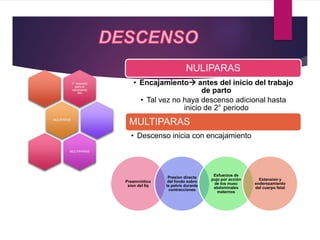 1° requisito
para el
nacimiento
RN
NULIPARAS
MULTIPARAS
NULIPARAS
• Encajamiento antes del inicio del trabajo
de parto
• Tal vez no haya descenso adicional hasta
inicio de 2° periodo
MULTIPARAS
• Descenso inicia con encajamiento
Preamniótico
sion del liq
Presion directa
del fondo sobre
la pelvis durante
contracciones
Esfuerzos de
pujo por acción
de los musc
abdominales
maternos
Extension y
enderezamiento
del cuerpo fetal
 
