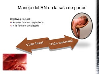 Objetivo principal:
Apoyar función respiratoria
Y la función circulatoria
 