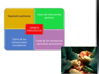 Expansión pulmonar
Inicio del intercambio
gaseoso
Cierre de los
cortocircuitos
circulatorios
Caída de las resistencias
vasculares pulmonares
CAMBIOS
FISIOLÓGICOS
 