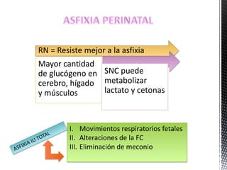 RN = Resiste mejor a la asfixia
Mayor cantidad
de glucógeno en
cerebro, hígado
y músculos
SNC puede
metabolizar
lactato y cetonas
I. Movimientos respiratorios fetales
II. Alteraciones de la FC
III. Eliminación de meconio
 