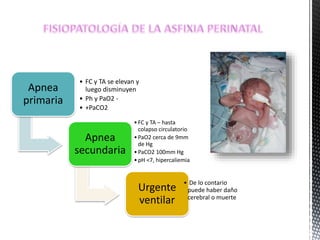Apnea
primaria
• FC y TA se elevan y
luego disminuyen
• Ph y PaO2 -
• +PaCO2
Apnea
secundaria
•FC y TA – hasta
colapso circulatorio
•PaO2 cerca de 9mm
de Hg
•PaCO2 100mm Hg
•pH <7, hipercaliemia
Urgente
ventilar
• De lo contario
puede haber daño
cerebral o muerte
 