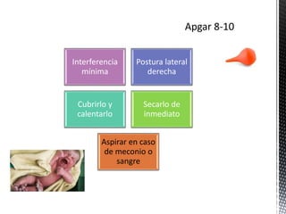 Interferencia
mínima
Postura lateral
derecha
Cubrirlo y
calentarlo
Secarlo de
inmediato
Aspirar en caso
de meconio o
sangre
 