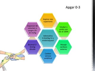 Adrenalina
0.3ml/kg IV o
endotraqueal
Aspirar vías
superiores
Intubar y
ambú con
O2 al 100%
Masaje
cardiaco
externo
Catéter
venoso
umbilical
Bicarsol 2-
3ml/jg
diluido
Expansor de
volumen o
sangre 10-
20 ml/kg
 