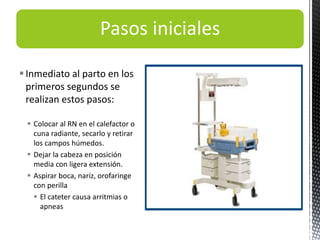 Pasos iniciales
Inmediato al parto en los
primeros segundos se
realizan estos pasos:
 Colocar al RN en el calefactor o
cuna radiante, secarlo y retirar
los campos húmedos.
 Dejar la cabeza en posición
media con ligera extensión.
 Aspirar boca, nariz, orofaringe
con perilla
 El cateter causa arritmias o
apneas
 