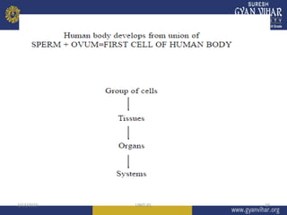 3/13/2023 UNIT-01 19
 