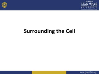 Surrounding the Cell
 