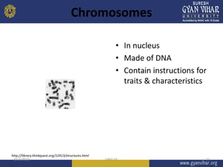 Chromosomes
• In nucleus
• Made of DNA
• Contain instructions for
traits & characteristics
3/13/2023 UNIT-01 33
http://library.thinkquest.org/12413/structures.html
 