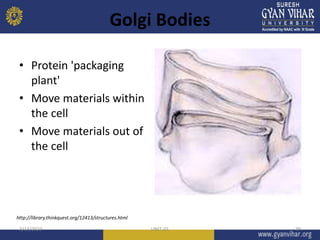 Golgi Bodies
• Protein 'packaging
plant'
• Move materials within
the cell
• Move materials out of
the cell
3/13/2023 UNIT-01 39
http://library.thinkquest.org/12413/structures.html
 