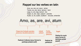  Grammaire latine. Révisions II