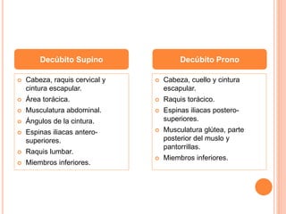  Cabeza, raquis cervical y
cintura escapular.
 Área torácica.
 Musculatura abdominal.
 Ángulos de la cintura.
 Espinas iliacas antero-
superiores.
 Raquis lumbar.
 Miembros inferiores.
 Cabeza, cuello y cintura
escapular.
 Raquis torácico.
 Espinas iliacas postero-
superiores.
 Musculatura glútea, parte
posterior del muslo y
pantorrillas.
 Miembros inferiores.
Decúbito Supino Decúbito Prono
 