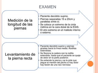 EXAMEN
• Paciente decúbito supino.
• Piernas separadas 15 a 20cm y
paralelas entre sí.
• Se coloca un extremo de la cinta
métrica en la cara distal de la EIAS.
• El otro extremo en el maléolo interno
o externo.
Medición de la
longitud de las
piernas
• Paciente decúbito supino y piernas
giradas hacia la línea media. Rodillas
extendidas.
• Se flexiona la cadera con la rodilla
extendida, hasta que el paciente se queje
de dolor en la parte posterior.
• Se extiende la pierna y se le pide que
pegue el mentón del pecho si hay dolor
hay lesión de una raíz nerviosa
Levantamiento de
la pierna recta
 