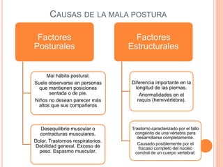 Factores
Posturales
Mal hábito postural.
Suele observarse en personas
que mantienen posiciones
sentada o de pie.
Niños no desean parecer más
altos que sus compañeros
Desequilibrio muscular o
contracturas musculares.
Dolor. Trastornos respiratorios.
Debilidad general. Exceso de
peso. Espasmo muscular.
Factores
Estructurales
Diferencia importante en la
longitud de las piernas.
Anormalidades en el
raquis (hemivértebra).
Trastorno caracterizado por el fallo
congénito de una vértebra para
desarrollarse completamente.
Causado posiblemente por el
fracaso completo del núcleo
condral de un cuerpo vertebral.
CAUSAS DE LA MALA POSTURA
 