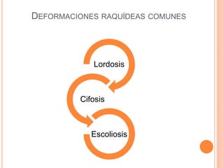 Lordosis
Cifosis
Escoliosis
DEFORMACIONES RAQUÍDEAS COMUNES
 