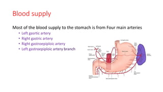 Blood supply
Most of the blood supply to the stomach is from Four main arteries
• Left gasrtic artery
• Right gastric artery
• Right gastroepiploic artery
 