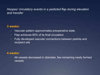 Hoopes’ circulatory events in a pedicled flap during elevation
and transfer
3 weeks:
• Vascular pattern approximates preoperative state
• Flap achieves 90% of its final circulation
• Fully developed vascular connections between pedicle and
recipient site
4 weeks:
• All vessels decreased in diameter, few remaining newly formed
vessels
 
