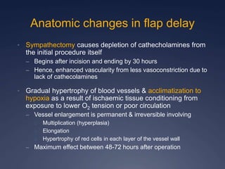 Anatomic changes in flap delay
• Sympathectomy causes depletion of cathecholamines from
the initial procedure itself
– Begins after incision and ending by 30 hours
– Hence, enhanced vascularity from less vasoconstriction due to
lack of cathecolamines
• Gradual hypertrophy of blood vessels & acclimatization to
hypoxia as a result of ischaemic tissue conditioning from
exposure to lower O2 tension or poor circulation
– Vessel enlargement is permanent & irreversible involving
o Multiplication (hyperplasia)
o Elongation
o Hypertrophy of red cells in each layer of the vessel wall
– Maximum effect between 48-72 hours after operation
 