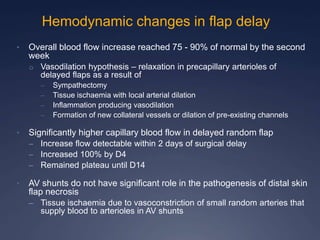 Hemodynamic changes in flap delay
• Overall blood flow increase reached 75 - 90% of normal by the second
week
o Vasodilation hypothesis – relaxation in precapillary arterioles of
delayed flaps as a result of
– Sympathectomy
– Tissue ischaemia with local arterial dilation
– Inflammation producing vasodilation
– Formation of new collateral vessels or dilation of pre-existing channels
• Significantly higher capillary blood flow in delayed random flap
– Increase flow detectable within 2 days of surgical delay
– Increased 100% by D4
– Remained plateau until D14
• AV shunts do not have significant role in the pathogenesis of distal skin
flap necrosis
– Tissue ischaemia due to vasoconstriction of small random arteries that
supply blood to arterioles in AV shunts
 