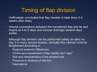 Timing of flap division
• Hoffmeister concluded that flap transfer is best done 2-4
weeks after delay
• Arterial connections between the transferred flap and its bed
begins at 4 to 5 days and venous drainage several days
earlier
• Although flap division can be performed safely as early as
day 3 in many animal studies, clinically this interval must be
lengthened according to
- Regional anatomic differences
- On-the-spot assessment of flap viability and “vigor”
- Size and characteristics of the recipient site
- Presence or absence of infection
- Haematoma
 