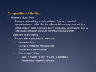 1. Composition of the flap
• Inherent blood flow
o Proximal pedicled flap – reduced blood flow as a result of
sympathectomy, cathecolamine release, & local response to injury
o Distal portion - local ischaemia (even in maximal vasodilation) due to
inadequate perfusion pressure from the proximal portion
• Tolerance to ischaemia
o Factors affecting ischaemic tolerance
– Ischaemia time
– Energy & metabolic requirements
– Temperature: cold vs warm
– Tissue composition
 Gut  muscle  skin  Bone  Cartilage
 Decreasing metabolic demand
 