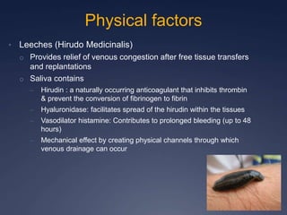 Physical factors
• Leeches (Hirudo Medicinalis)
o Provides relief of venous congestion after free tissue transfers
and replantations
o Saliva contains
– Hirudin : a naturally occurring anticoagulant that inhibits thrombin
& prevent the conversion of fibrinogen to fibrin
– Hyaluronidase: facilitates spread of the hirudin within the tissues
– Vasodilator histamine: Contributes to prolonged bleeding (up to 48
hours)
– Mechanical effect by creating physical channels through which
venous drainage can occur
 