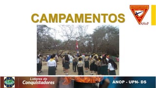 CAMPAMENTOS
 