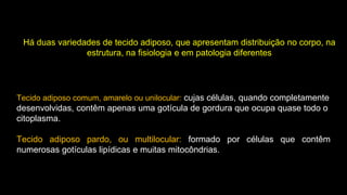 Há duas variedades de tecido adiposo, que apresentam distribuição no corpo, na
estrutura, na fisiologia e em patologia diferentes
Tecido adiposo comum, amarelo ou unilocular: cujas células, quando completamente
desenvolvidas, contêm apenas uma gotícula de gordura que ocupa quase todo o
citoplasma.
Tecido adiposo pardo, ou multilocular: formado por células que contêm
numerosas gotículas lipídicas e muitas mitocôndrias.
 