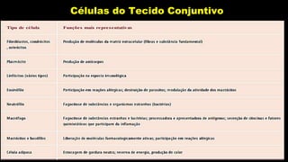 Células do Tecido Conjuntivo
 
