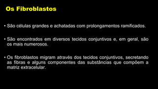 Os Fibroblastos
• São células grandes e achatadas com prolongamentos ramificados.
• São encontrados em diversos tecidos conjuntivos e, em geral, são
os mais numerosos.
• Os fibroblastos migram através dos tecidos conjuntivos, secretando
as fibras e alguns componentes das substâncias que compõem a
matriz extracelular.
 