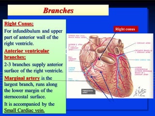 4. BLOOD SUPPLY OF HEART 1.pdf