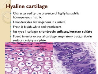 4.c.CARTILAGE&BONECT.pdf