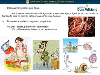 Doenças transmitidas pela água
As doenças transmitidas pela água são aquelas em que a água serve como meio de
transporte para os germes patogênicos atingirem o homem.
 Doenças causadas por agentes patogênicos:
Via oral – cólera, poliomielite, helmintoses
Via cutânea – esquistossomose, leptospirose
 