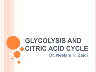 GLYCOLYSIS AND
CITRIC ACID CYCLE
Dr. Neelam H. Zaidi
 