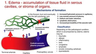 4.Circulation.disorders.pdf