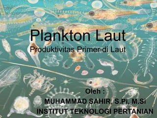Plankton Laut
Produktivitas Primer di Laut
Oleh :
MUHAMMAD SAHIR, S.Pi, M.Si
INSTITUT TEKNOLOGI PERTANIAN
 