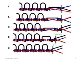 Monday, March 6, 2023 55
 