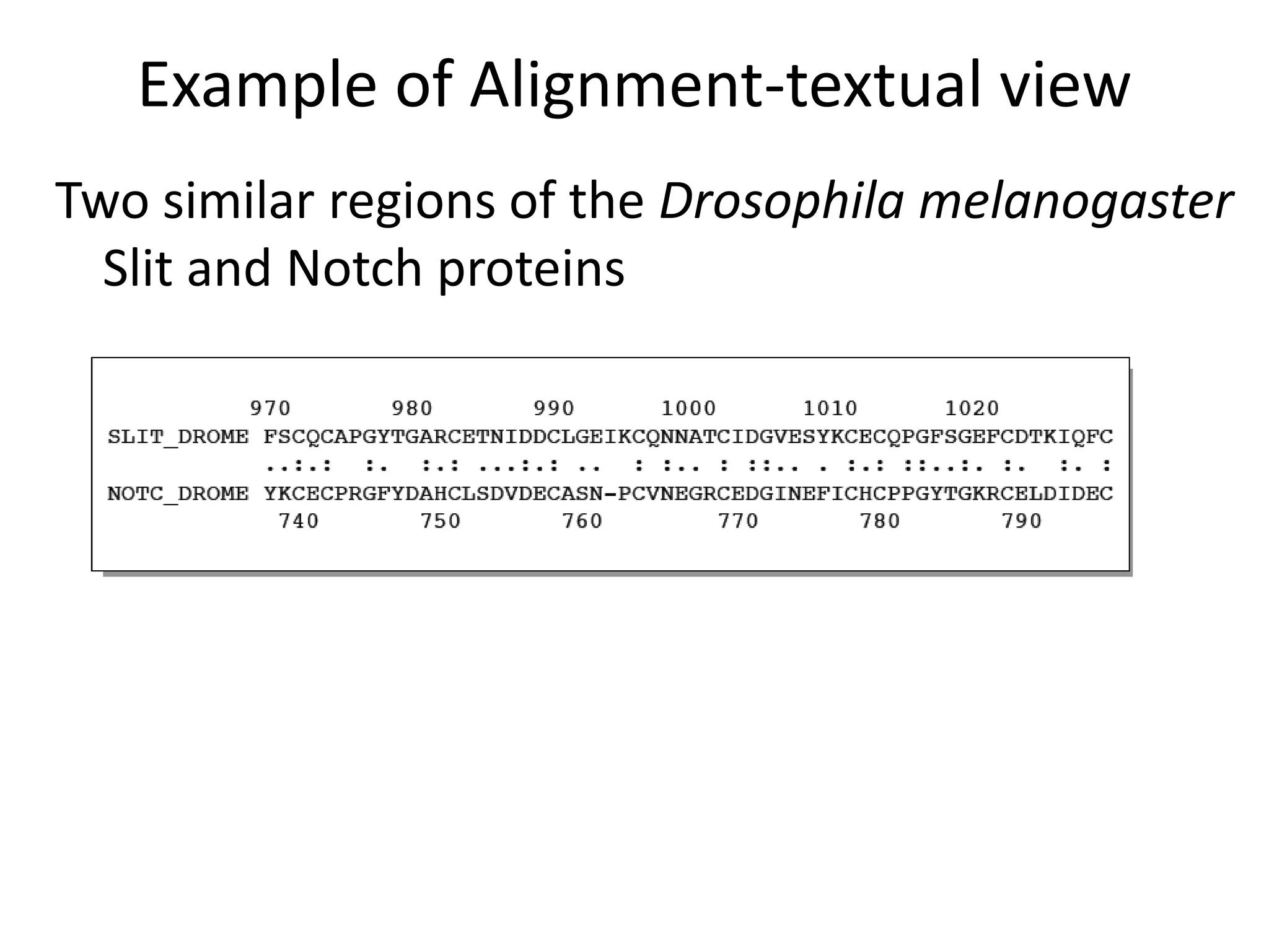 Example of Alignment-textual view
Two similar regions of the Drosophila melanogaster
Slit and Notch proteins
 