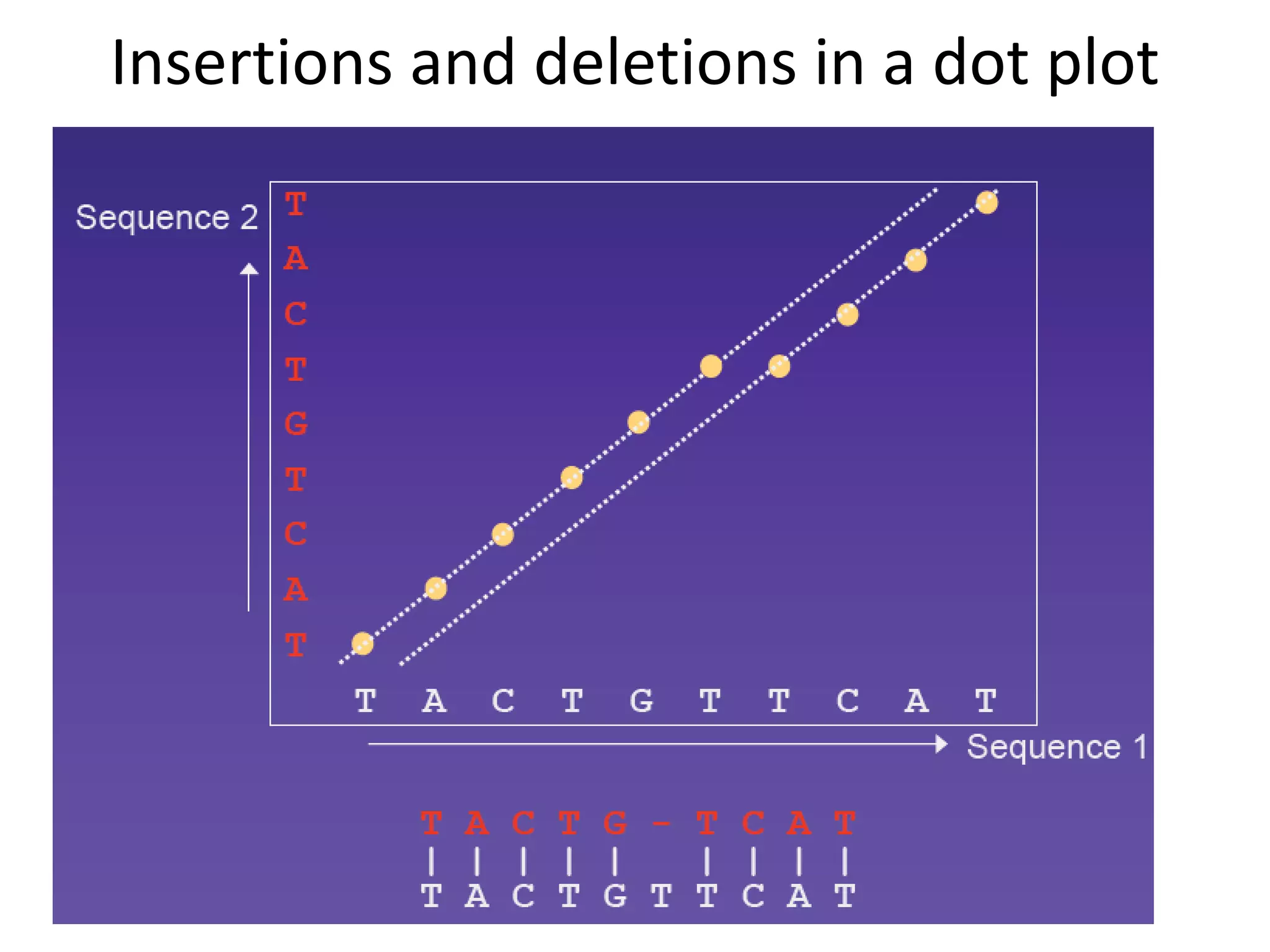 Insertions and deletions in a dot plot
 