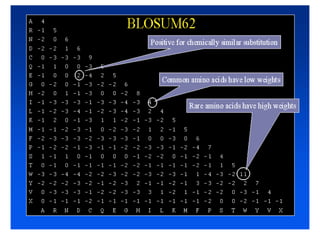 Python Sequence Alignment Plot 4. sequence alignment.pptx