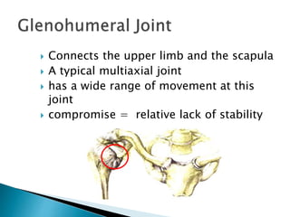 4. Joints,,Articulations.pptx