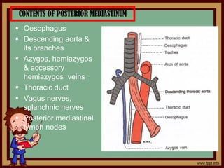 CONTENTS OF POSTERIOR MEDIASTINUM
 Oesophagus
 Descending aorta &
its branches
 Azygos, hemiazygos
& accessory
hemiazygos veins
 Thoracic duct
 Vagus nerves,
splanchnic nerves
 Posterior mediastinal
lymph nodes
 