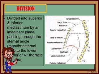 DIVISION
• Divided into superior
& inferior
mediastinum by an
imaginary plane
passing through the
sternal angle
(manubriosternal
joint) to the lower
border of 4th thoracic
vertebra.
 