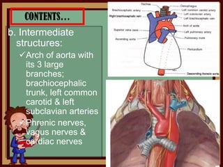 CONTENTS…
b. Intermediate
structures:
Arch of aorta with
its 3 large
branches;
brachiocephalic
trunk, left common
carotid & left
subclavian arteries
Phrenic nerves,
vagus nerves &
cardiac nerves
 