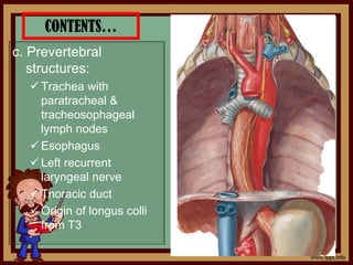 CONTENTS…
c. Prevertebral
structures:
 Trachea with
paratracheal &
tracheosophageal
lymph nodes
 Esophagus
 Left recurrent
laryngeal nerve
 Thoracic duct
 Origin of longus colli
from T3
 