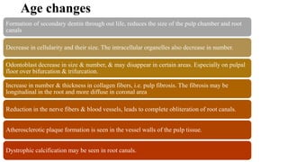 Age changes
Formation of secondary dentin through out life, reduces the size of the pulp chamber and root
canals
Decrease in cellularity and their size. The intracellular organelles also decrease in number.
Odontoblast decrease in size & number, & may disappear in certain areas. Especially on pulpal
floor over bifurcation & trifurcation.
Increase in number & thickness in collagen fibers, i.e. pulp fibrosis. The fibrosis may be
longitudinal in the root and more diffuse in coronal area
Reduction in the nerve fibers & blood vessels, leads to complete obliteration of root canals.
Atherosclerotic plaque formation is seen in the vessel walls of the pulp tissue.
Dystrophic calcification may be seen in root canals.
 