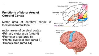 Motor Area Function Physiology of Nervous System.pptx